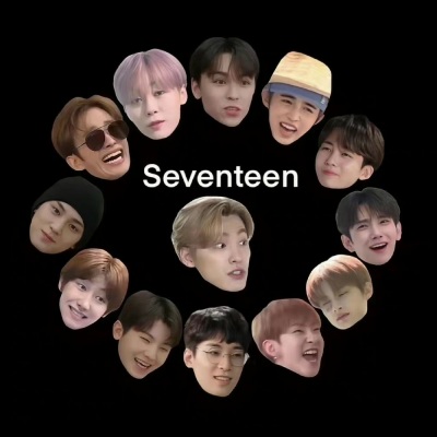 seventeen的神曲们