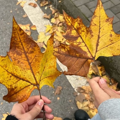 不要回头 | 没有人会在原地等你